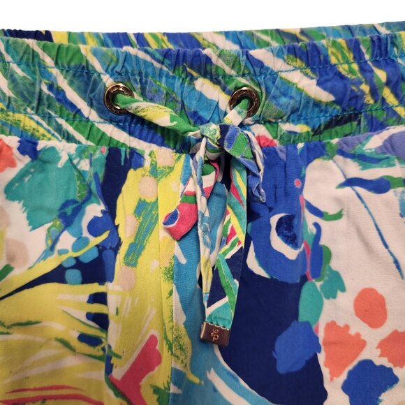 Lily Pulitzer Katia Colorful Drawstring Shorts Size M - Picture 3 of 6